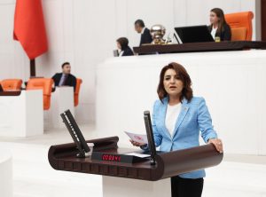 CHP  MİLLETVEKİLİ KIŞ, SON 7 AYDA MEYDANA GELEN REKOR OTOBÜS KAZALARINI TBMM’YE TAŞIDI