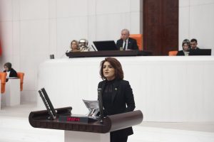 CHP’Lİ GÜLCAN KIŞ, HAYALET SEÇMEN İDDİALARINI MECLİS GÜNDEMİNE TAŞIDI
