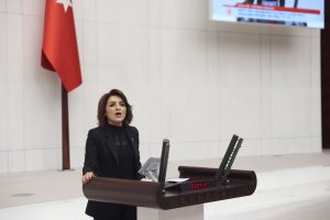 KIŞ: “ZEYTİNYAĞI FABRİKASINA BİLE SEÇMEN KAYDI YAPILMIŞ