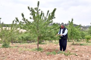 ÜRETİCİLER BÜYÜKŞEHİR’LE RAHAT NEFES ALIYOR