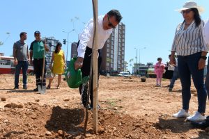 Yenişehir Belediyesi ağaçlandırma çalışmalarını sürdürüyor