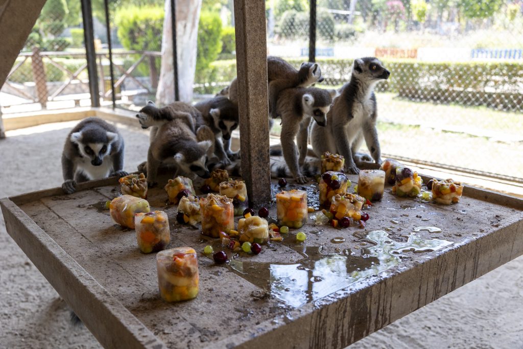 TARSUS DOĞA PARKI’NDA SICAKLARA BUZ GİBİ BİR MOLA