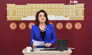 CHP Mersin Milletvekili Gülcan Kış’tan Sert Uyarı: “AKP’nin Sit Alanlarını İmara Açmasına Burada İzin Vermeyeceğiz!