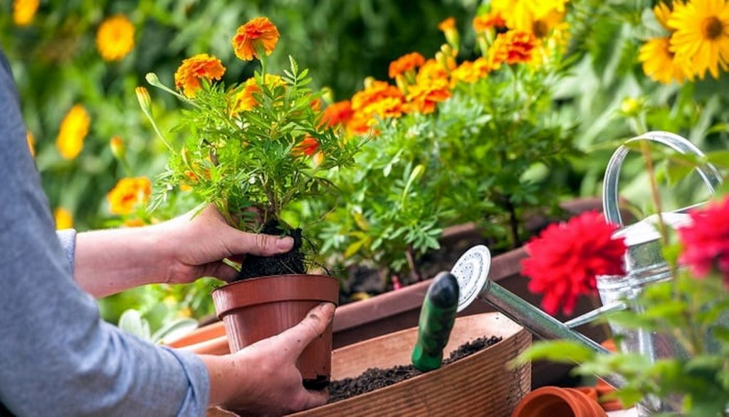 Kursiyer kadınlara teorik ve uygulamalı eğitimler verilecek