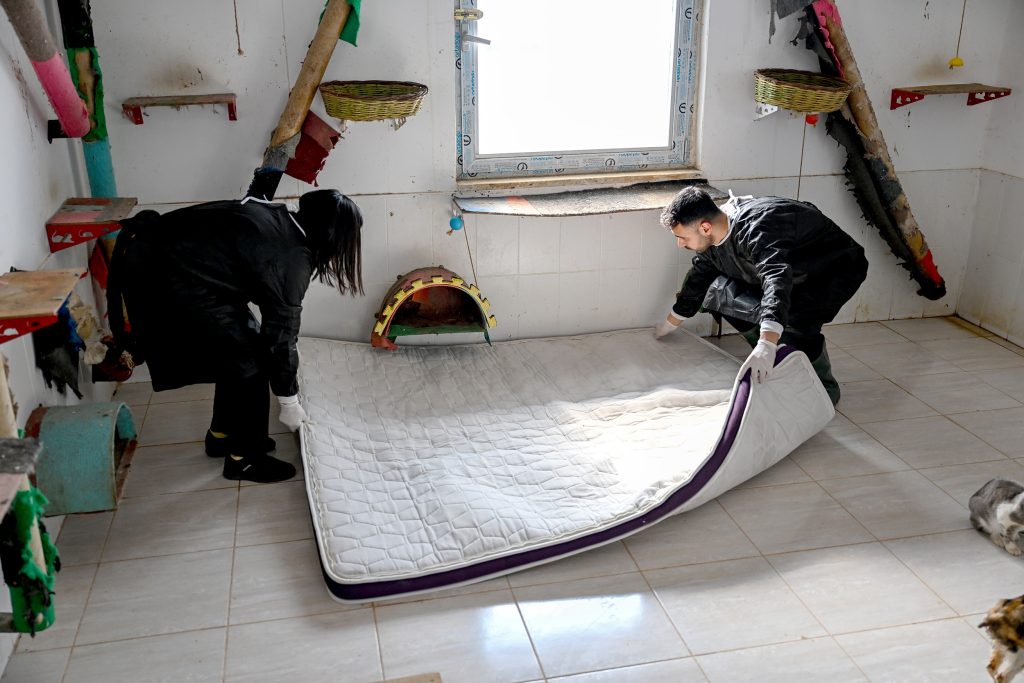 BÜYÜKŞEHİR VE GÖNÜLLÜLER PATİLİ DOSTLAR İÇİN İŞ BİRLİĞİ YAPIYOR