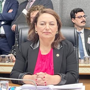 “Afet, kentsel planlama, sulak alanlar, ormanlar, tarım alanları için tedbir yok!”