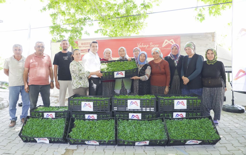 Mersin’de Çiftçilere Yarı Fiyatına Sanayi Domates Fidesi Desteği