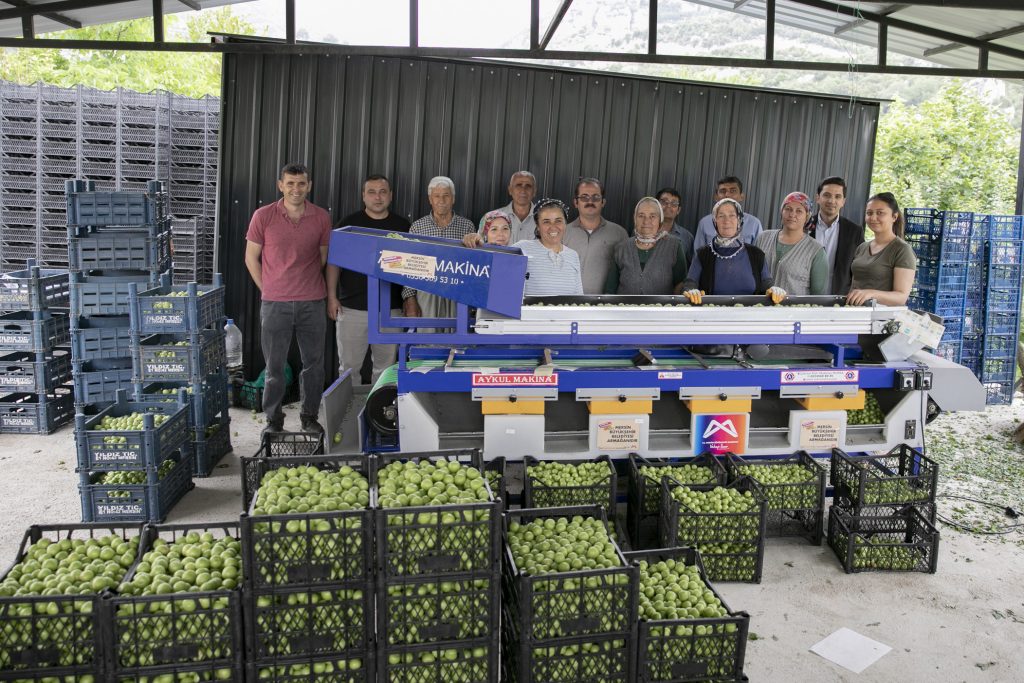 Mersin’de Üreticiye İkinci Erik Boylama Makinesi Desteği
