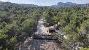 Mersin’de Orman Parkında Mangal Yasağı