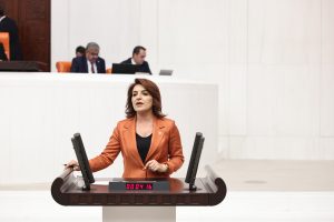 Gülcan Kış’tan Meclis’te Sert Çıkış: “Doğa Göz Göre Göre Yanıyor”