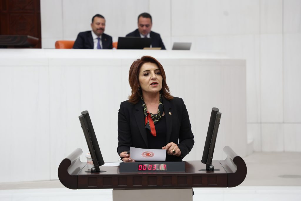 Gülcan Kış: “Yangınlar Kader Değil, İhmallerin Sonucudur”