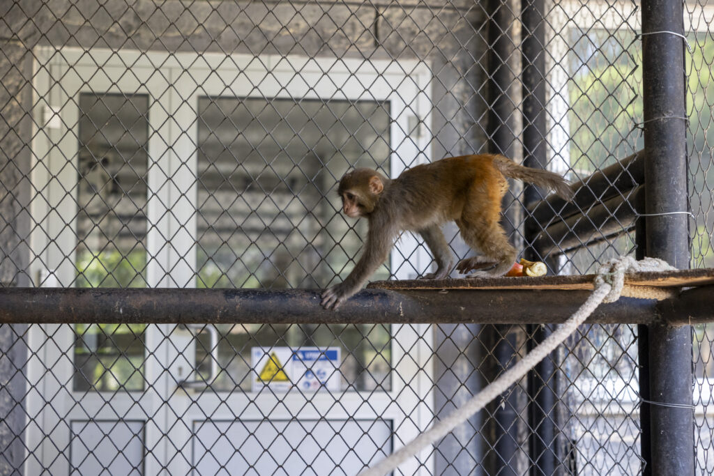 TARSUS DOĞA PARKI, DOĞADAKİ TÜM CANLARA KAPISINI AÇIYOR
