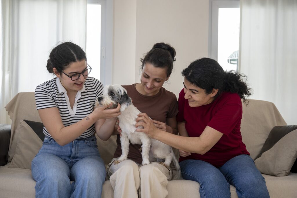 Mersin’de sahiplendirme kampanyasıyla bin 927 köpek yeni yuvasına kavuştu